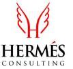 hermes consulting nigeria|Hermes Consulting – Lagos.